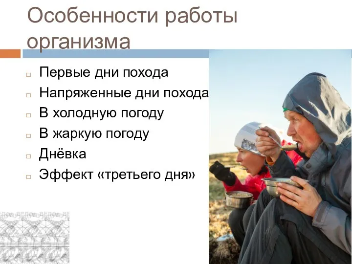 Особенности работы организма Первые дни похода Напряженные дни похода В холодную