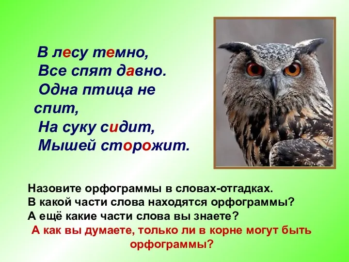 В лесу темно, Все спят давно. Одна птица не спит, На