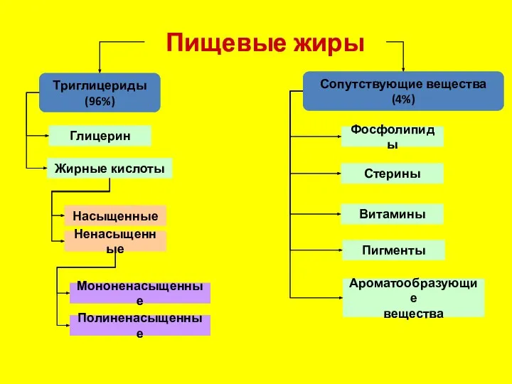 Пищевые жиры Триглицериды (96%) Сопутствующие вещества (4%) Глицерин Жирные кислоты Насыщенные