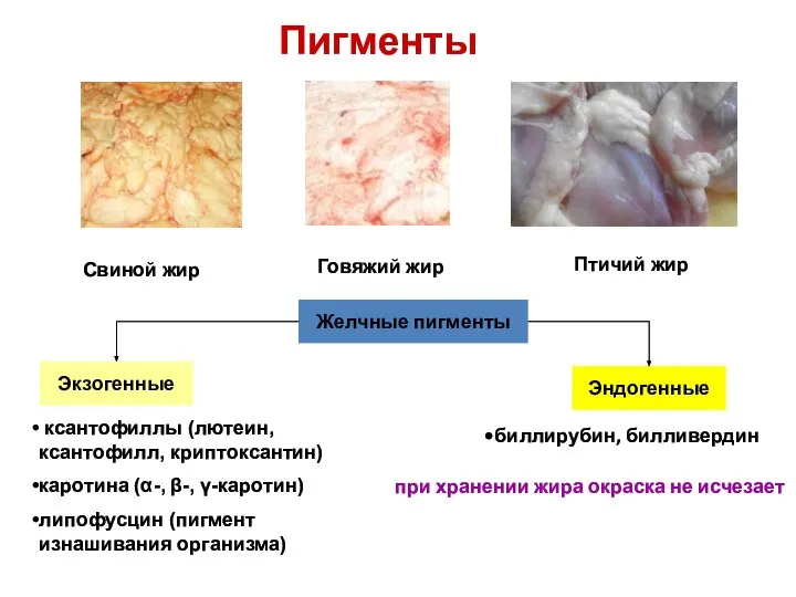 Пигменты Свиной жир Птичий жир Говяжий жир Желчные пигменты Экзогенные Эндогенные