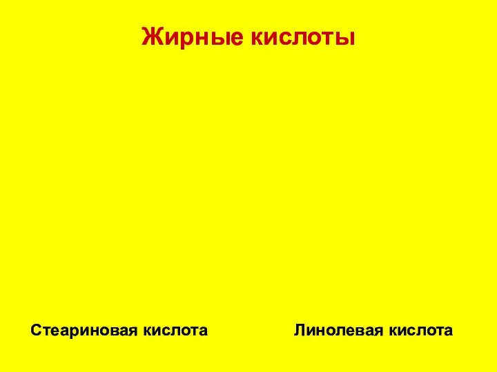 Жирные кислоты Стеариновая кислота Линолевая кислота