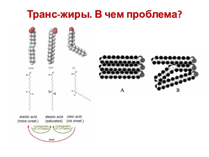 Транс-жиры. В чем проблема?