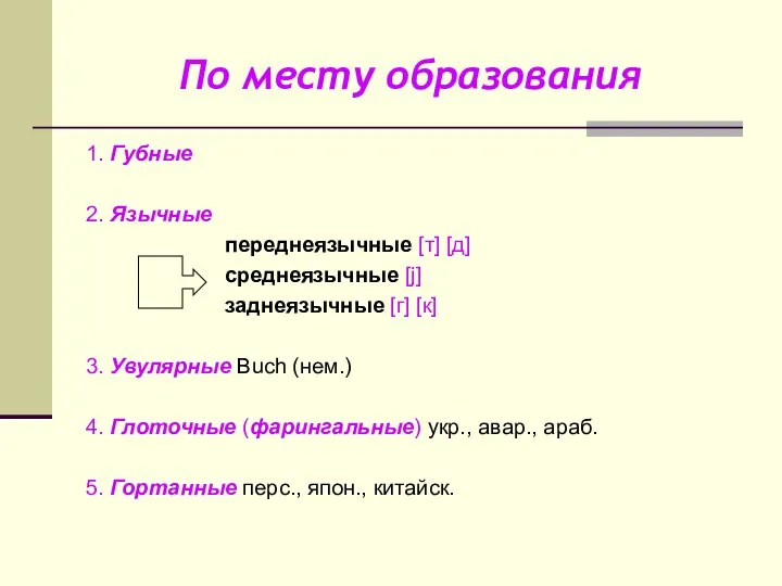 По месту образования 1. Губные 2. Язычные переднеязычные [т] [д] среднеязычные