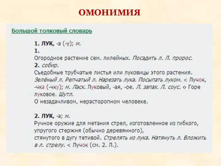 ОМОНИМИЯ