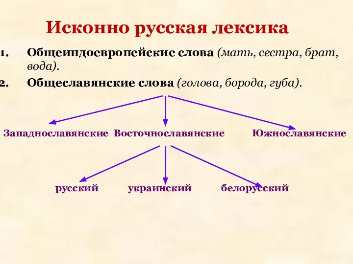 Исконно русская лексика Общеиндоевропейские слова (мать, сестра, брат, вода). Общеславянские слова