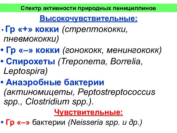 Спектр активности природных пенициллинов Высокочувствительные: Гр «+» кокки (стрептококки, пневмококки) Гр