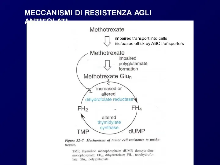 MECCANISMI DI RESISTENZA AGLI ANTIFOLATI