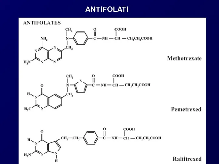 ANTIFOLATI