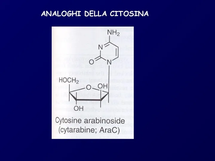 ANALOGHI DELLA CITOSINA