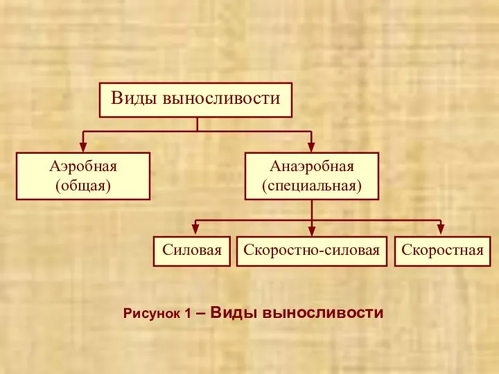 Рисунок 1 – Виды выносливости