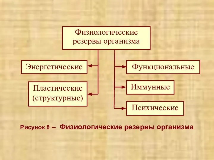 Рисунок 8 – Физиологические резервы организма