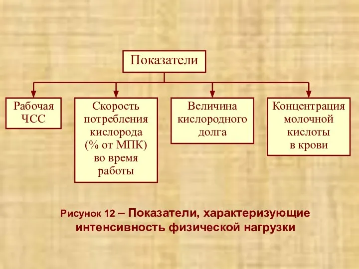 Рисунок 12 – Показатели, характеризующие интенсивность физической нагрузки