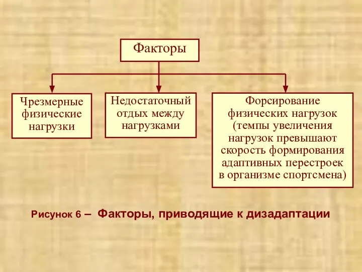 Рисунок 6 – Факторы, приводящие к дизадаптации