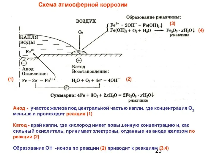 Схема атмосферной коррозии Анод - участок железа под центральной частью капли,