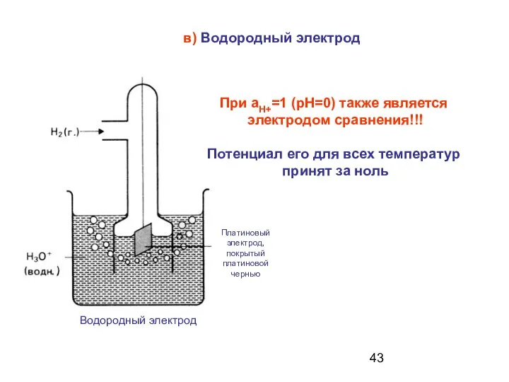 в) Водородный электрод При аН+=1 (рН=0) также является электродом сравнения!!! Потенциал