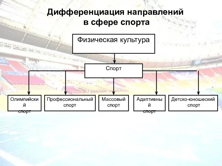 Дифференциация направлений в сфере спорта Спорт Олимпийский спорт Профессиональный спорт Массовый