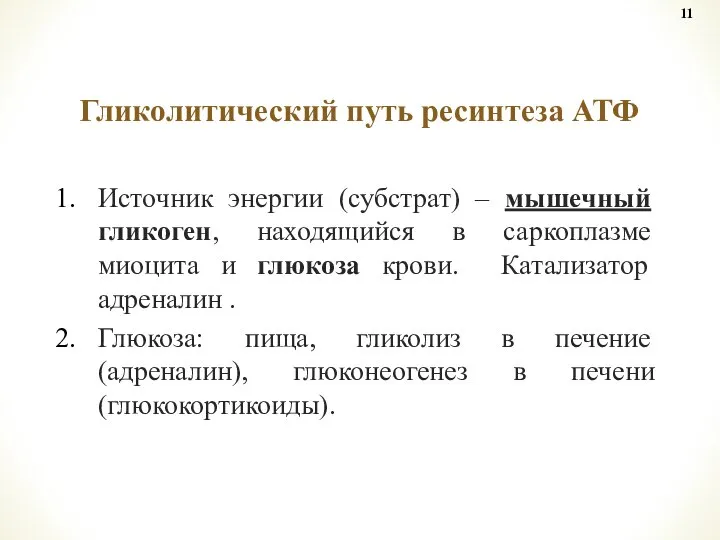 Источник энергии (субстрат) – мышечный гликоген, находящийся в саркоплазме миоцита и