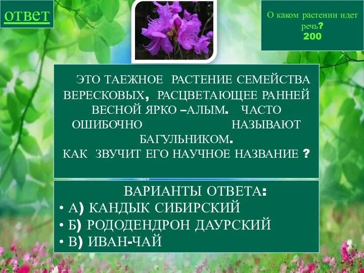 О каком растении идет речь? 200 ответ ВАРИАНТЫ ОТВЕТА: А) КАНДЫК