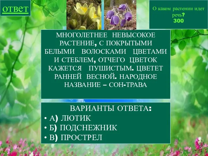 О каком растении идет речь? 300 ответ МНОГОЛЕТНЕЕ НЕВЫСОКОЕ РАСТЕНИЕ, С