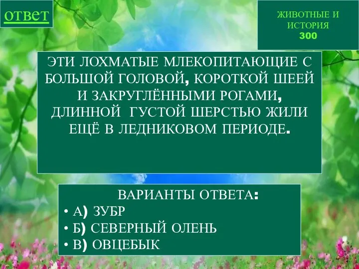 ЖИВОТНЫЕ И ИСТОРИЯ 300 ответ ЭТИ ЛОХМАТЫЕ МЛЕКОПИТАЮЩИЕ С БОЛЬШОЙ ГОЛОВОЙ,