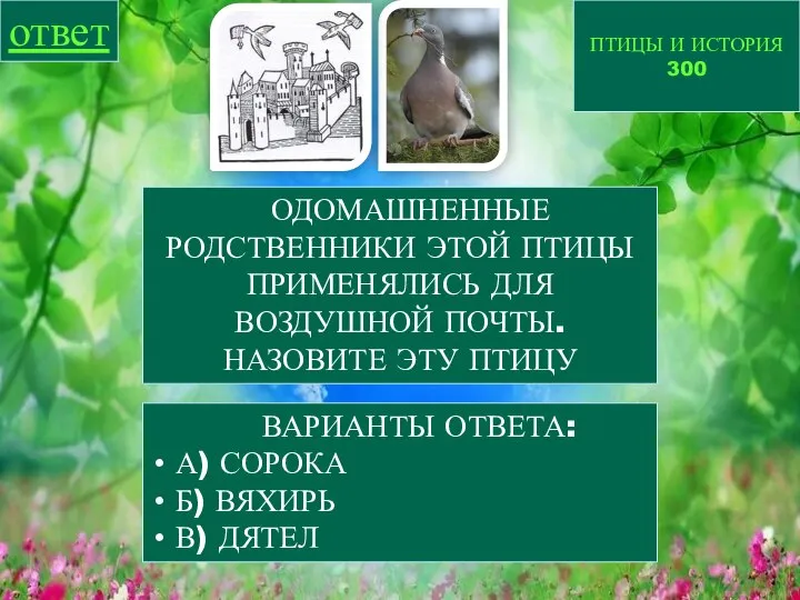 ПТИЦЫ И ИСТОРИЯ 300 ответ ОДОМАШНЕННЫЕ РОДСТВЕННИКИ ЭТОЙ ПТИЦЫ ПРИМЕНЯЛИСЬ ДЛЯ