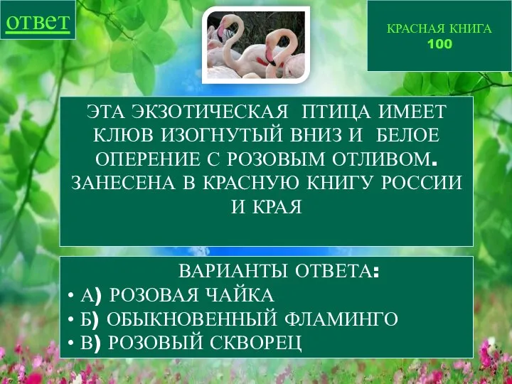 КРАСНАЯ КНИГА 100 ответ ЭТА ЭКЗОТИЧЕСКАЯ ПТИЦА ИМЕЕТ КЛЮВ ИЗОГНУТЫЙ ВНИЗ