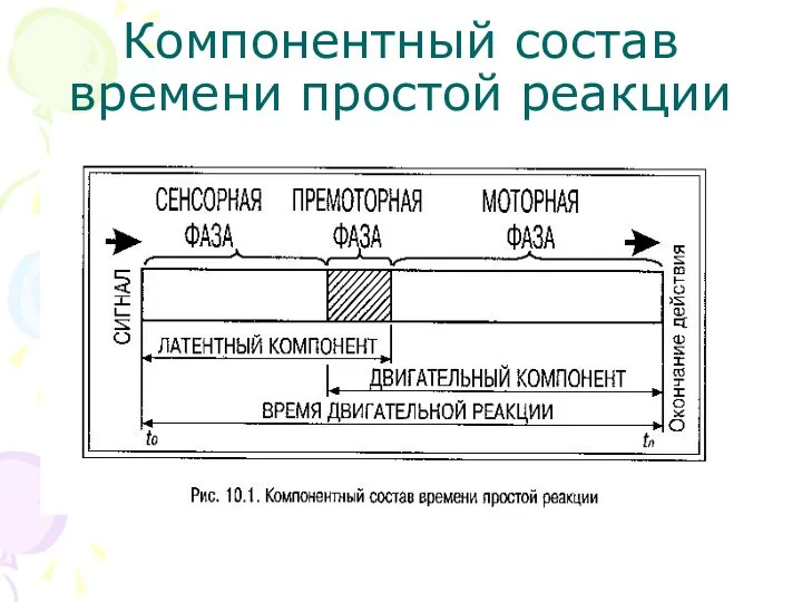 Компонентный состав времени простой реакции