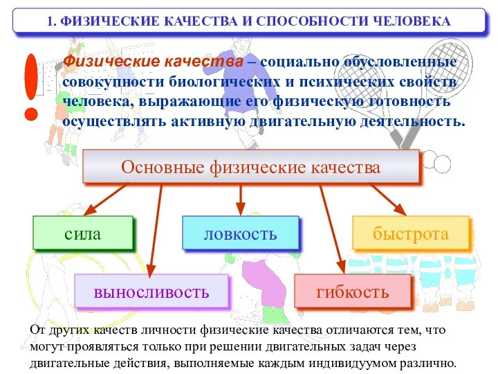 1. ФИЗИЧЕСКИЕ КАЧЕСТВА И СПОСОБНОСТИ ЧЕЛОВЕКА Физические качества – социально обусловленные