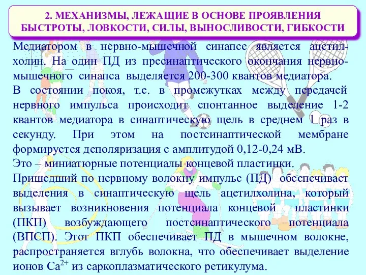 2. МЕХАНИЗМЫ, ЛЕЖАЩИЕ В ОСНОВЕ ПРОЯВЛЕНИЯ БЫСТРОТЫ, ЛОВКОСТИ, СИЛЫ, ВЫНОСЛИВОСТИ, ГИБКОСТИ