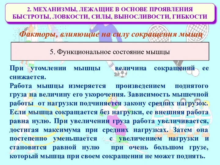 2. МЕХАНИЗМЫ, ЛЕЖАЩИЕ В ОСНОВЕ ПРОЯВЛЕНИЯ БЫСТРОТЫ, ЛОВКОСТИ, СИЛЫ, ВЫНОСЛИВОСТИ, ГИБКОСТИ