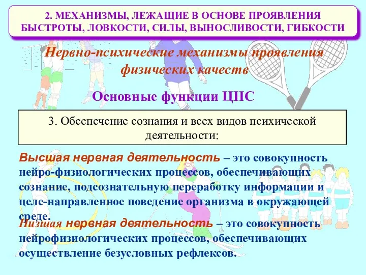 2. МЕХАНИЗМЫ, ЛЕЖАЩИЕ В ОСНОВЕ ПРОЯВЛЕНИЯ БЫСТРОТЫ, ЛОВКОСТИ, СИЛЫ, ВЫНОСЛИВОСТИ, ГИБКОСТИ