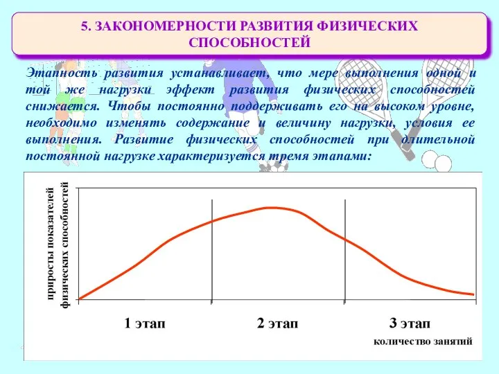 5. ЗАКОНОМЕРНОСТИ РАЗВИТИЯ ФИЗИЧЕСКИХ СПОСОБНОСТЕЙ Этапность развития устанавливает, что мере выполнения