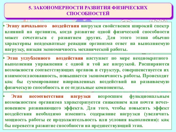 5. ЗАКОНОМЕРНОСТИ РАЗВИТИЯ ФИЗИЧЕСКИХ СПОСОБНОСТЕЙ Этапу начального воздействия нагрузки свойственен широкий