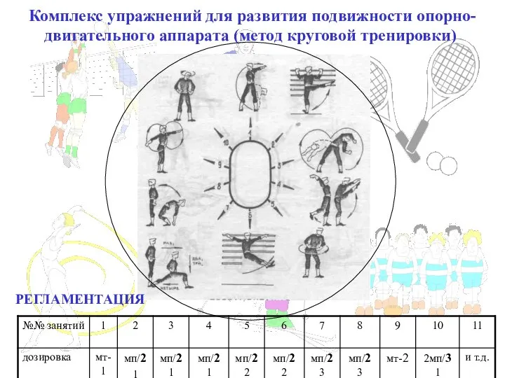 Комплекс упражнений для развития подвижности опорно-двигательного аппарата (метод круговой тренировки) РЕГЛАМЕНТАЦИЯ