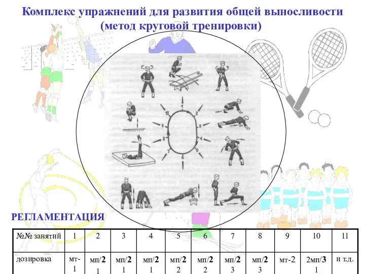 Комплекс упражнений для развития общей выносливости (метод круговой тренировки) РЕГЛАМЕНТАЦИЯ