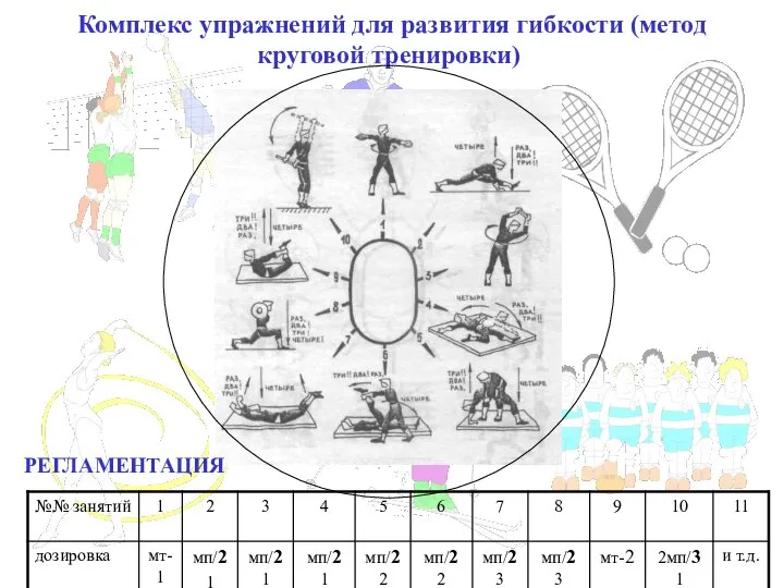 Комплекс упражнений для развития гибкости (метод круговой тренировки) РЕГЛАМЕНТАЦИЯ