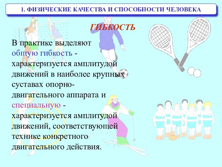 1. ФИЗИЧЕСКИЕ КАЧЕСТВА И СПОСОБНОСТИ ЧЕЛОВЕКА В практике выделяют общую гибкость