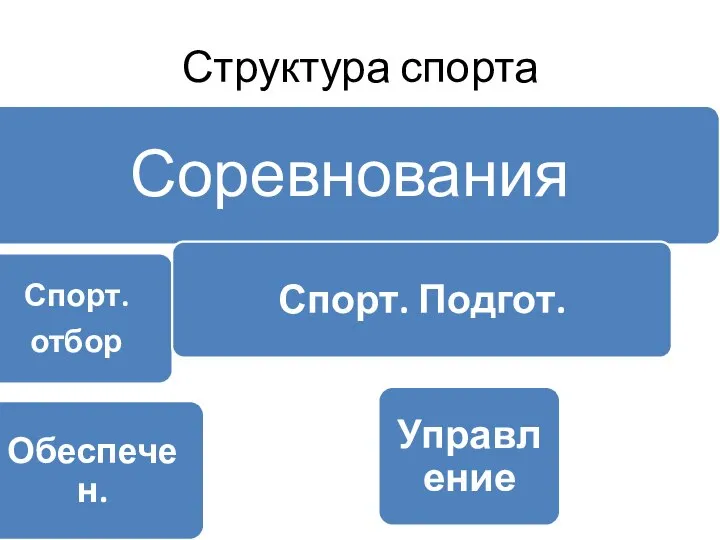 Структура спорта