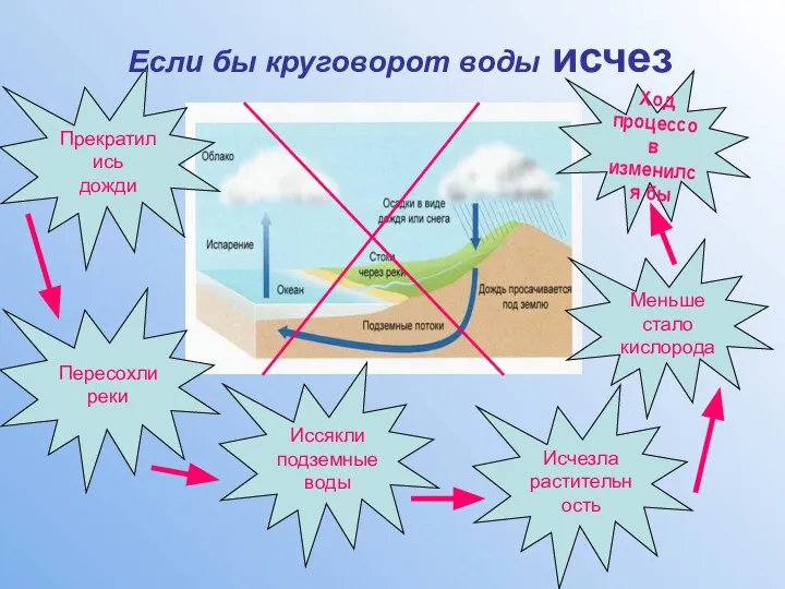 Ход процессов изменился бы Меньше стало кислорода Исчезла растительность Иссякли подземные