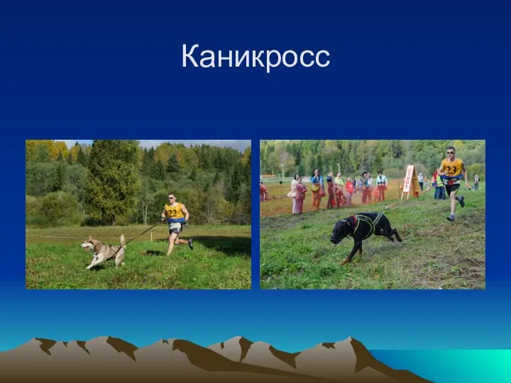 Каникросс