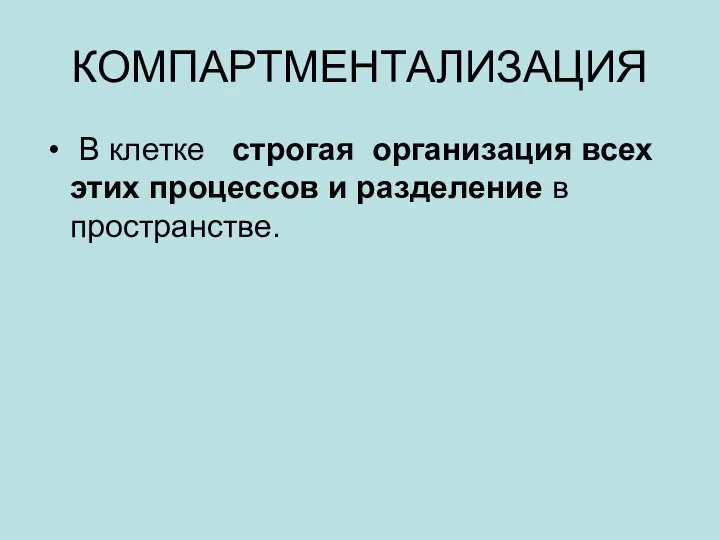 КОМПАРТМЕНТАЛИЗАЦИЯ В клетке строгая организация всех этих процессов и разделение в пространстве.