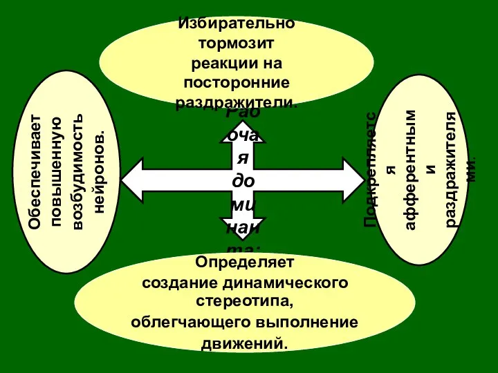 Рабочая доминанта: Определяет создание динамического стереотипа, облегчающего выполнение движений. Избирательно тормозит