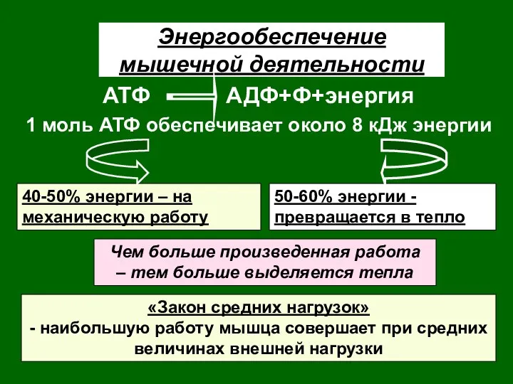 Энергообеспечение мышечной деятельности АТФ АДФ+Ф+энергия 1 моль АТФ обеспечивает около 8