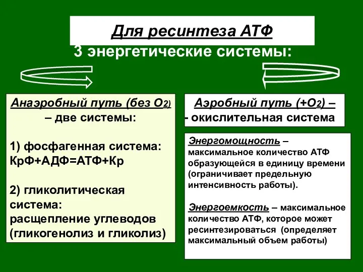 Для ресинтеза АТФ 3 энергетические системы: Анаэробный путь (без О2) –