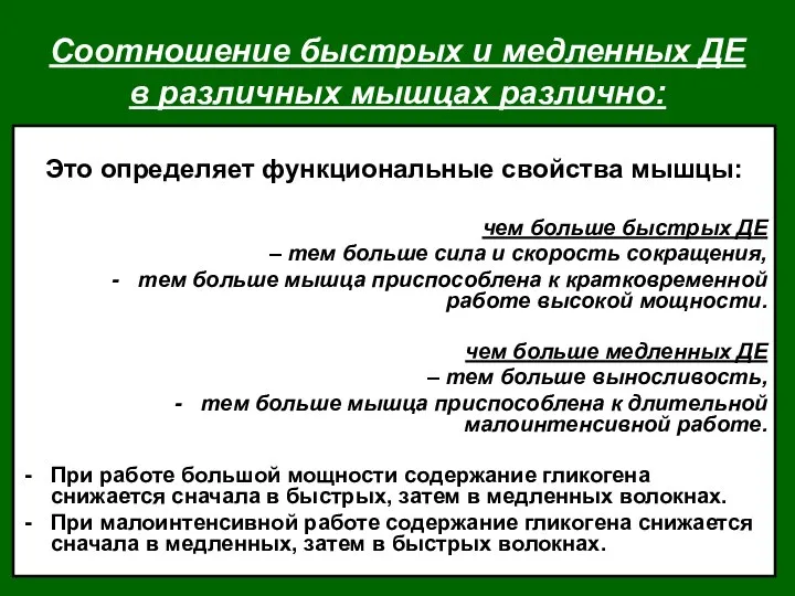 Соотношение быстрых и медленных ДЕ в различных мышцах различно: Это определяет