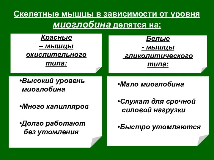 Скелетные мышцы в зависимости от уровня миоглобина делятся на: Высокий уровень