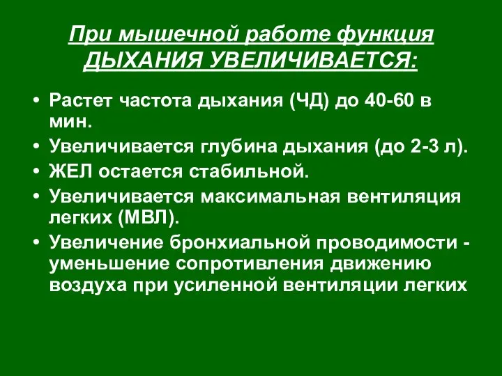 При мышечной работе функция ДЫХАНИЯ УВЕЛИЧИВАЕТСЯ: Растет частота дыхания (ЧД) до