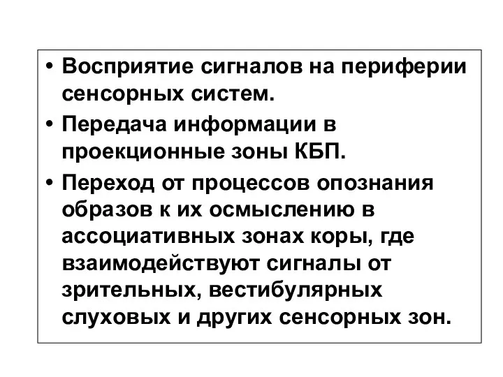 Восприятие сигналов на периферии сенсорных систем. Передача информации в проекционные зоны