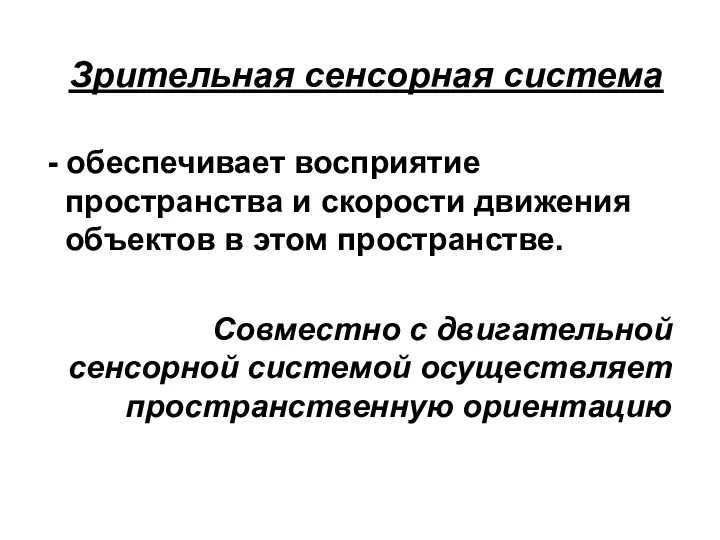 Зрительная сенсорная система - обеспечивает восприятие пространства и скорости движения объектов