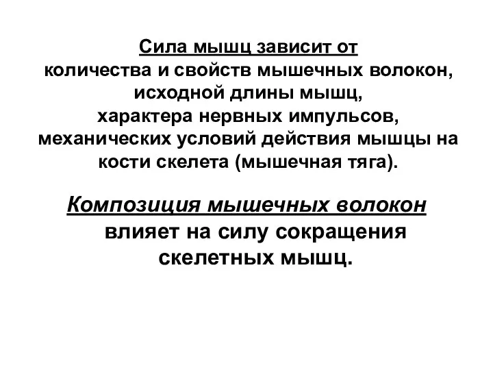 Сила мышц зависит от количества и свойств мышечных волокон, исходной длины